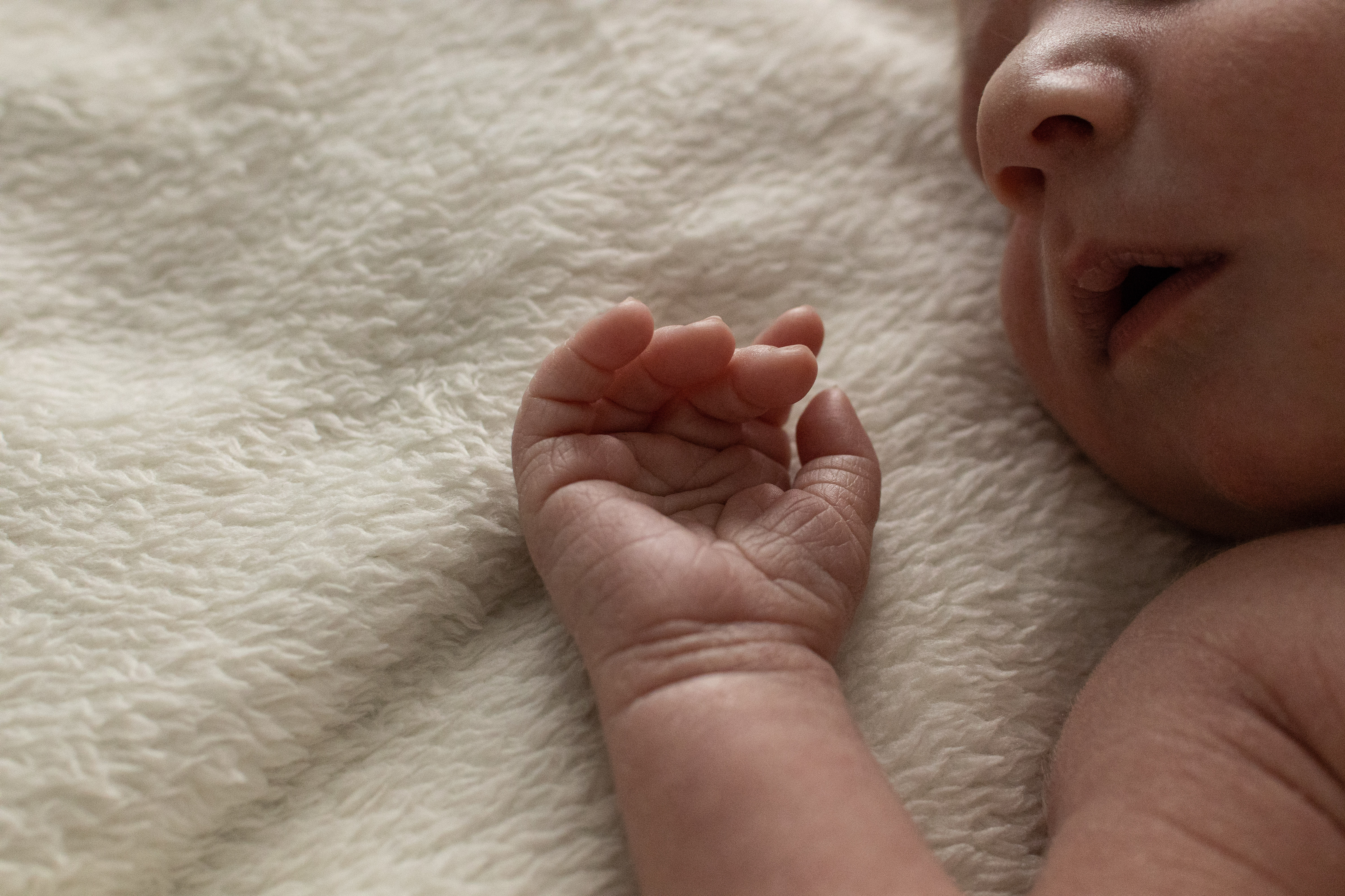 familienfoto-babyfoto-homestory-düren